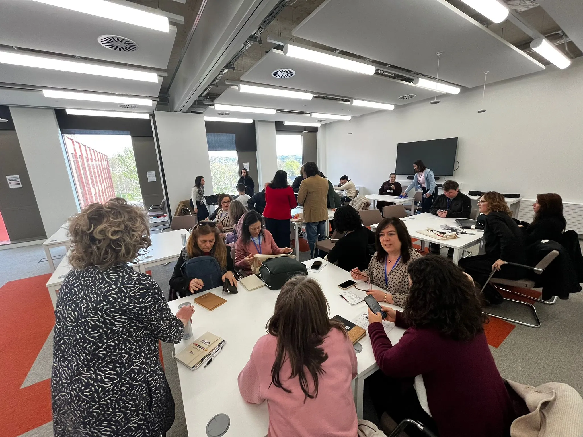 Participantes do CNIPES em grupos de trabalho numa sessão sobre inovação pedagógica em Cork.